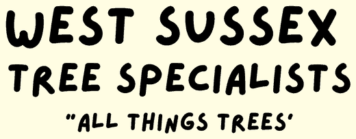 West Sussex Tree Specialists. All things trees.