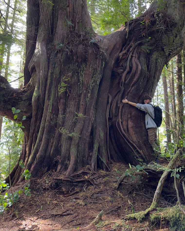 Max smiling as he hugs the huge trunk of an ancient tree in a forest